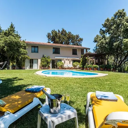 Villa Llamas *