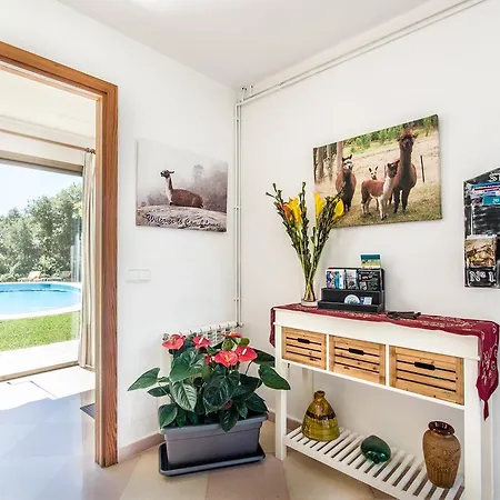 Llamas Villa *