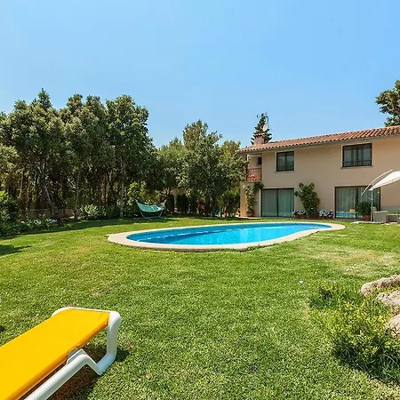 Llamas Villa *